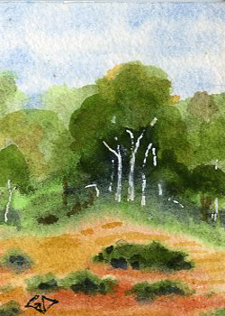 Across The Marsh  Gretel Dentine Madison WI watercolor & ink  SOLD